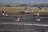 TANZANIA - Lake Natron - 062